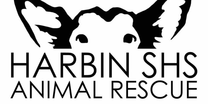 Press Release: HARBIN SHS Animal Rescue and Middle Kingdom Wrestling form historic partnership.